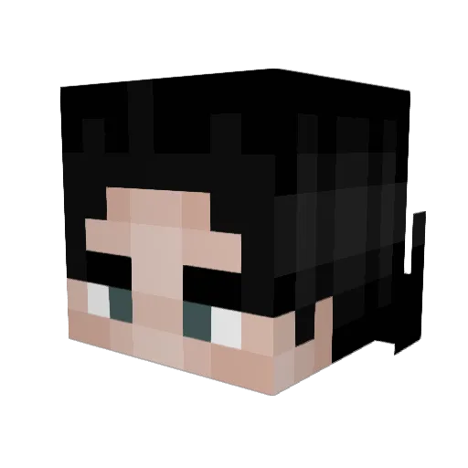 Darkbork Minecraft avatar head, 3D render