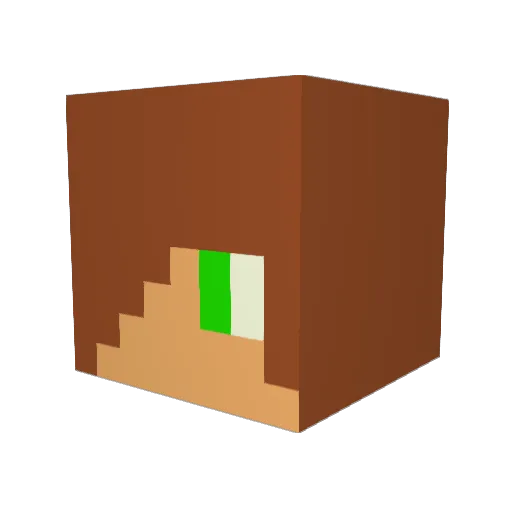 Darkbrazier Minecraft avatar head, 3D render
