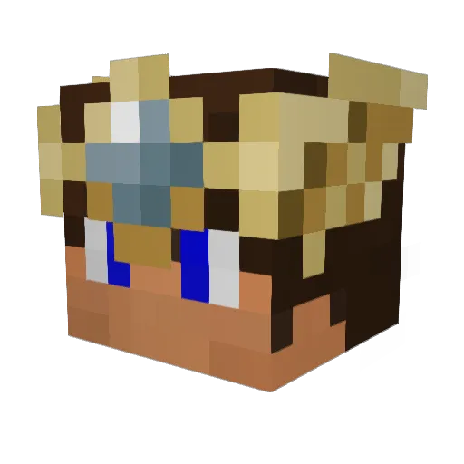Darkcat9000 Minecraft avatar head, 3D render