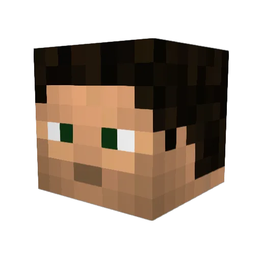 Darkdame12 Minecraft avatar head, 3D render