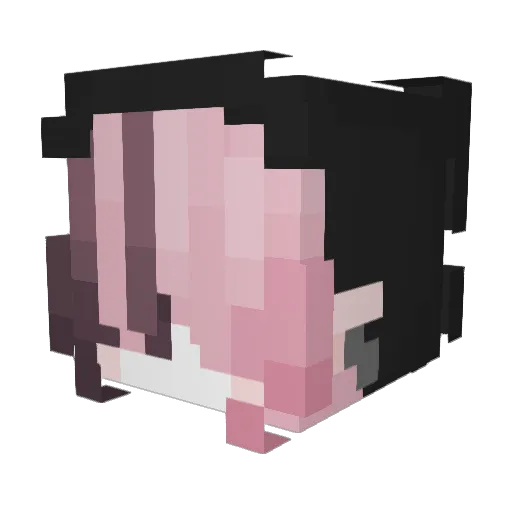 Darkdemon1967 Minecraft avatar head, 3D render