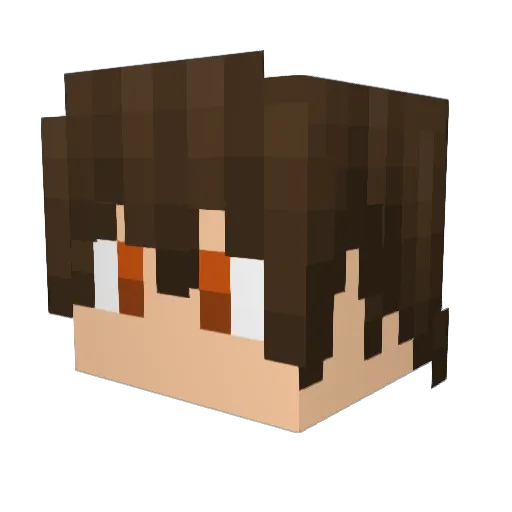 Darkdobby40 Minecraft avatar head, 3D render