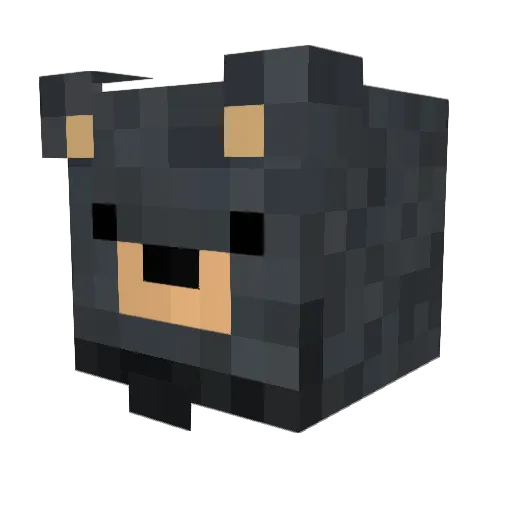 Darkdroo Minecraft avatar head, 3D render