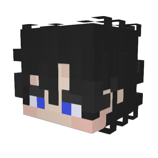 DarkenedView Minecraft avatar head, 3D render