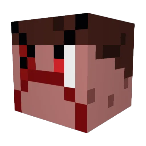 DarkerFalcon699 Minecraft avatar head, 3D render