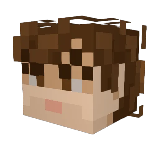 Darkest208 Minecraft avatar head, 3D render