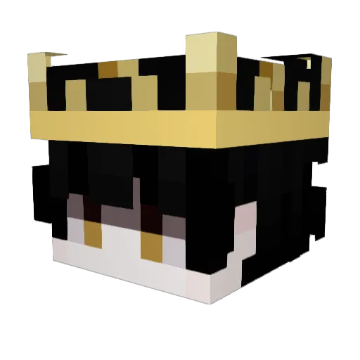 Darkevilone Minecraft avatar head, 3D render