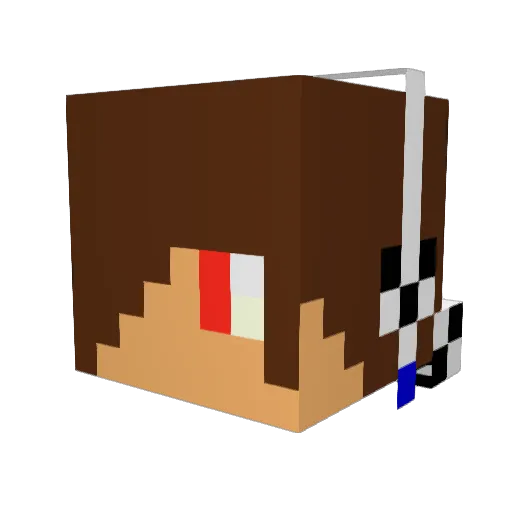Darkfall211 Minecraft avatar head, 3D render