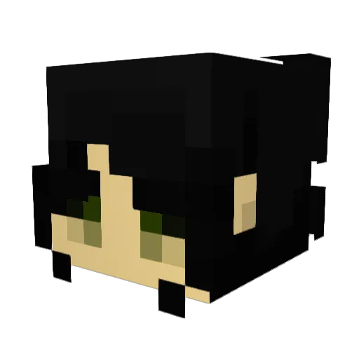 Darkfinch2031 Minecraft avatar head, 3D render