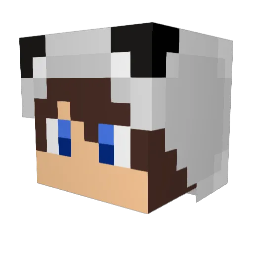 Darkfire90778 Minecraft avatar head, 3D render