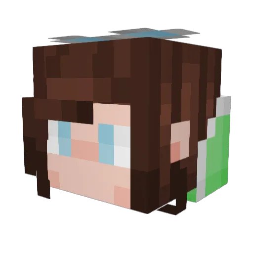 Darkfirelord6506 Minecraft avatar head, 3D render