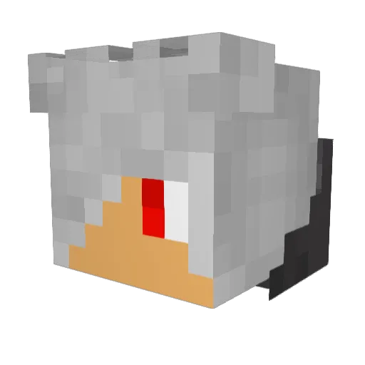 Darkfirexp Minecraft avatar head, 3D render