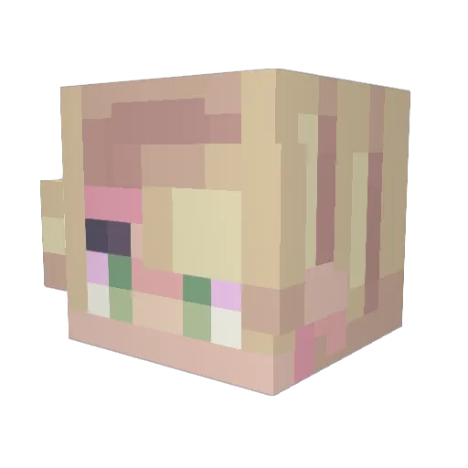 Darkfox1104 Minecraft avatar head, 3D render