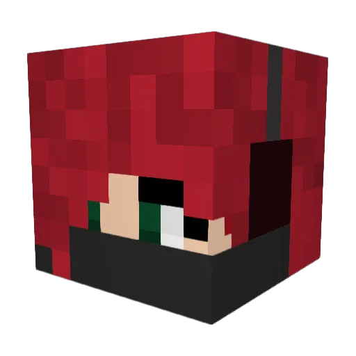 Darkfox8726 Minecraft avatar head, 3D render