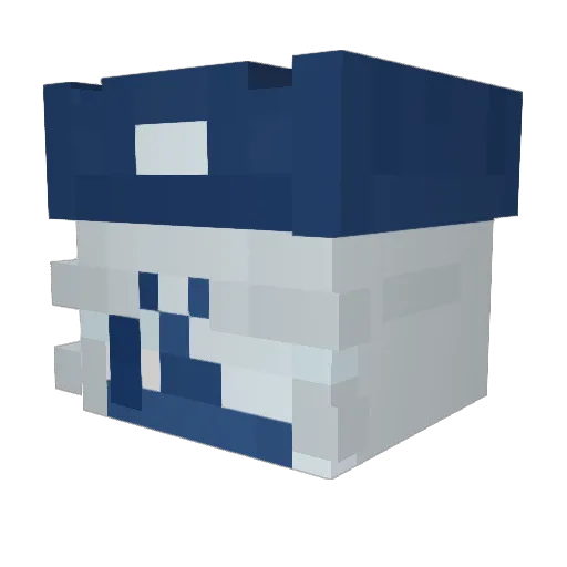 Darkfury1441 Minecraft avatar head, 3D render