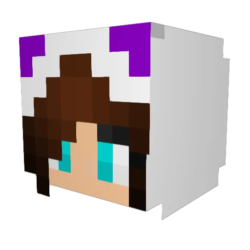 Darkgigglebox Minecraft avatar head, 3D render