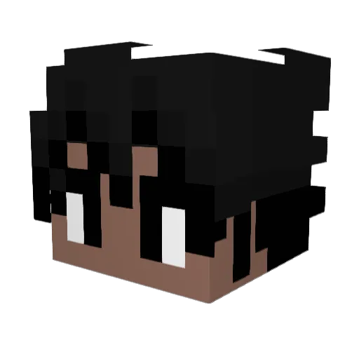 Darkhailstorm33 Minecraft avatar head, 3D render