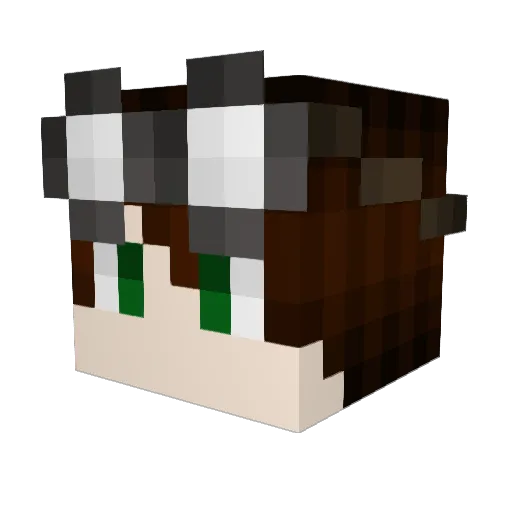 Darkhyrd Minecraft avatar head, 3D render