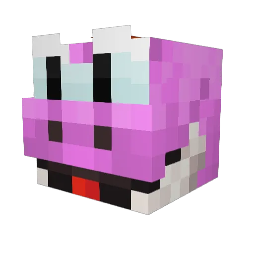 Darkin_0 Minecraft avatar head, 3D render