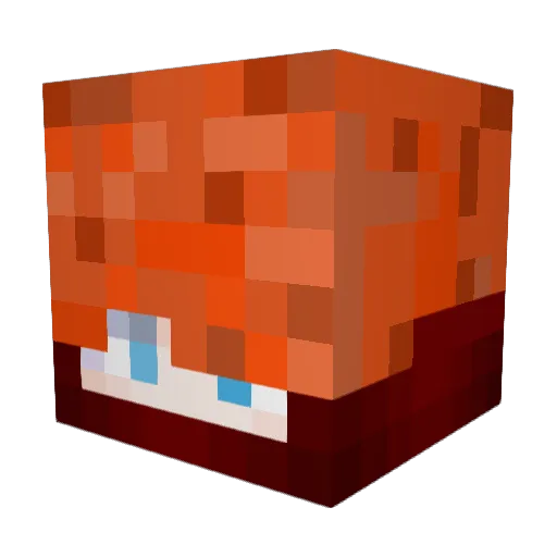Darkinight_11 Minecraft avatar head, 3D render