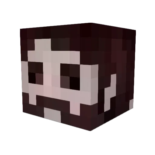 Darkkiller2004 Minecraft avatar head, 3D render