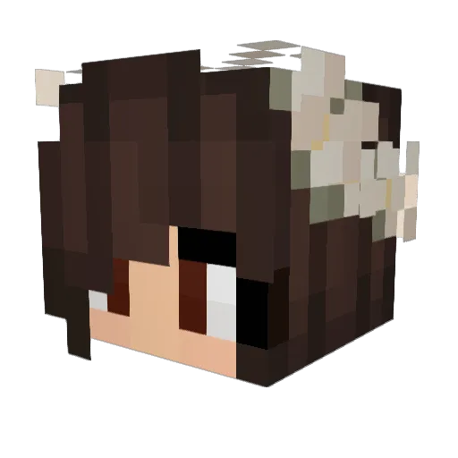Darkladys Minecraft avatar head, 3D render