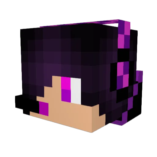 Darkless789 Minecraft avatar head, 3D render