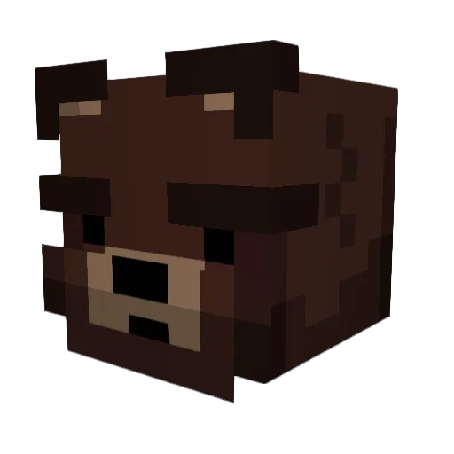 Darklight10157 Minecraft avatar head, 3D render