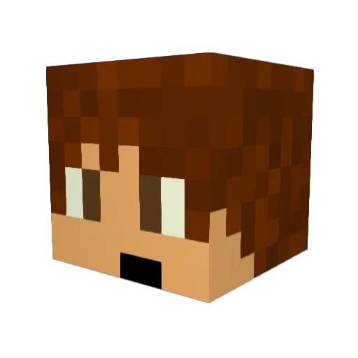 Darklight162 Minecraft avatar head, 3D render