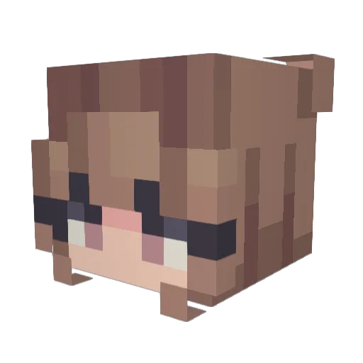 Darklord18 Minecraft avatar head, 3D render