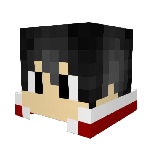 Darklord31 Minecraft avatar head, 3D render
