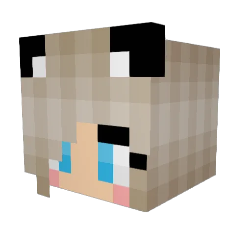 Darklord5612 Minecraft avatar head, 3D render