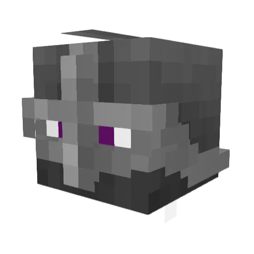 Darklord9481 Minecraft avatar head, 3D render