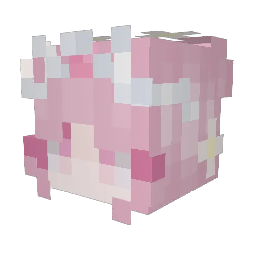 Darkmaster097 Minecraft avatar head, 3D render