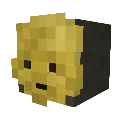 Darknaut13 Minecraft avatar head, 3D render