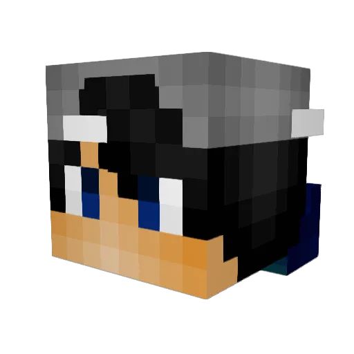 DarkneevZ Minecraft avatar head, 3D render