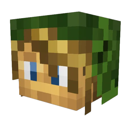 DarknessCookie Minecraft avatar head, 3D render