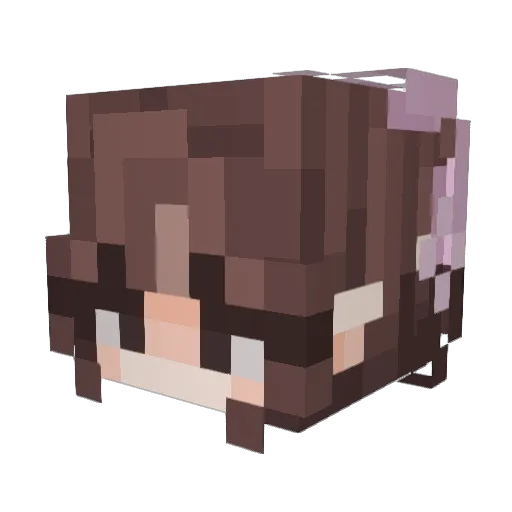 DarknessKitty135 Minecraft avatar head, 3D render
