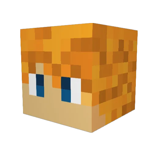 DarknessPlur2006 Minecraft avatar head, 3D render