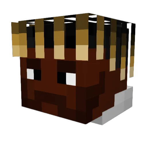Darkness_Oli Minecraft avatar head, 3D render