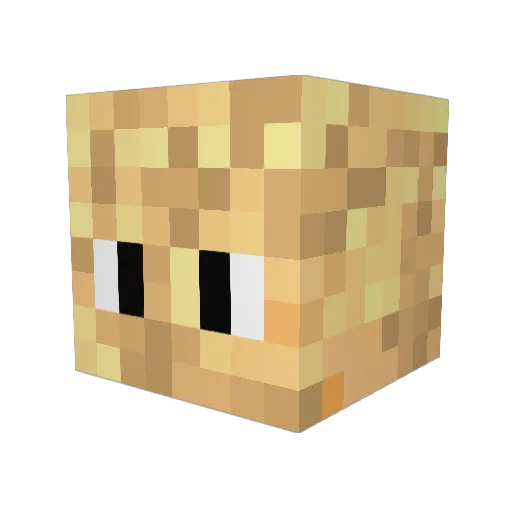 Darknessbeholder Minecraft avatar head, 3D render