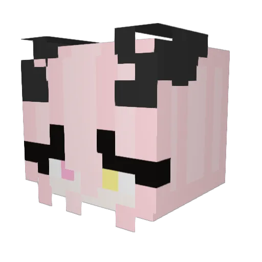 Darknessmage501 Minecraft avatar head, 3D render
