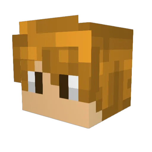 Darknex06 Minecraft avatar head, 3D render