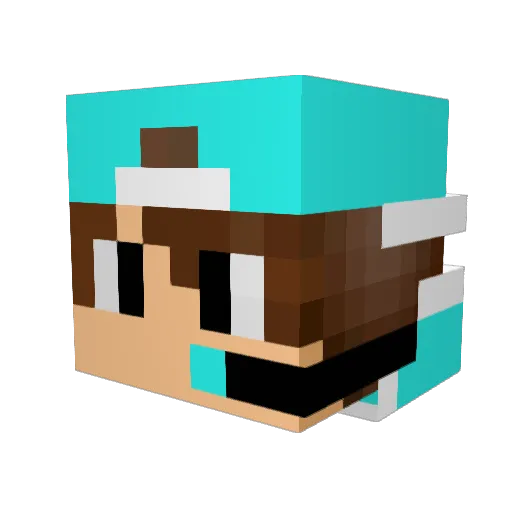 DarknightLP Minecraft avatar head, 3D render