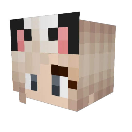 Darknightspirit Minecraft avatar head, 3D render