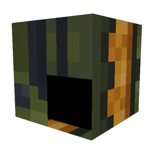 Darkninja_416 Minecraft avatar head, 3D render