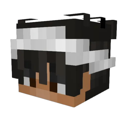 Darknitw Minecraft avatar head, 3D render