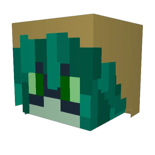 Darknut1203 Minecraft avatar head, 3D render