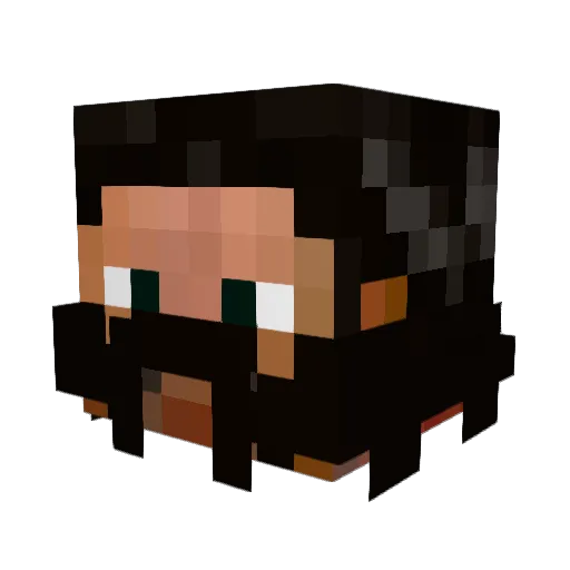 Darknut Minecraft avatar head, 3D render