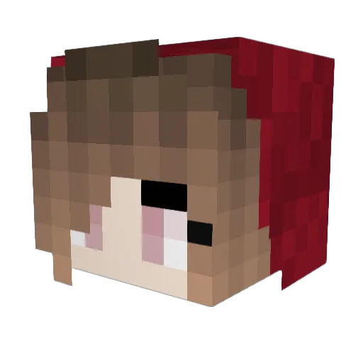 Darkoracle Minecraft avatar head, 3D render